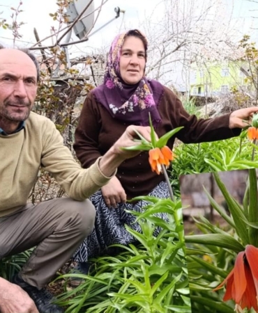 WhatsApp Image 2025-03-27 at 12.28.07