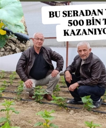 498f3d8d-de3a-4a3d-ae9e-e946e6f32062