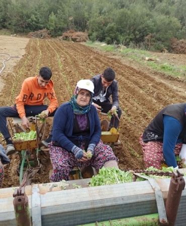 WhatsApp Image 2025-04-07 at 11.48.47