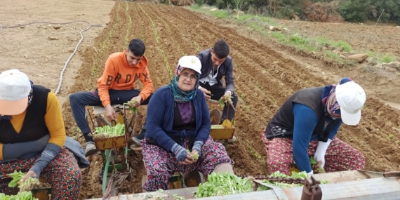 WhatsApp Image 2025-04-07 at 11.48.47