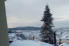 WhatsApp Image 2025-04-11 at 11.27.50 (1)