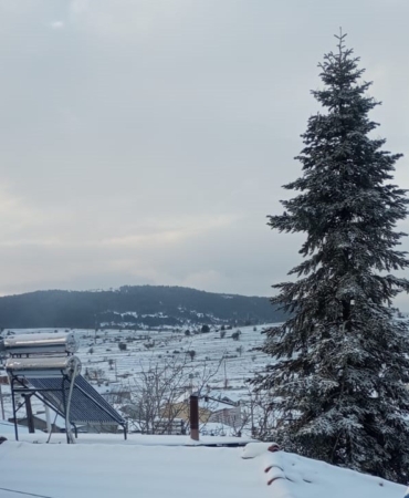 WhatsApp Image 2025-04-11 at 11.27.50 (1)