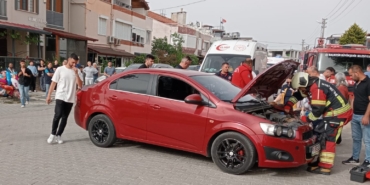 WhatsApp Image 2025-05-16 at 23.52.05