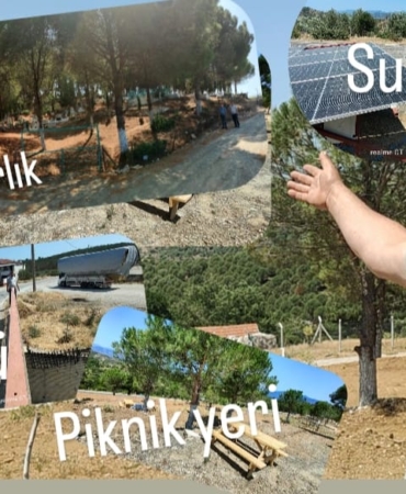 WhatsApp Image 2025-06-20 at 15.23.31