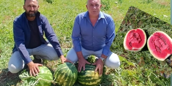 WhatsApp Image 2025-06-25 at 16.04.31