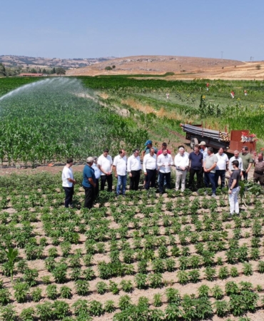 WhatsApp Image 2025-07-18 at 15.55.11