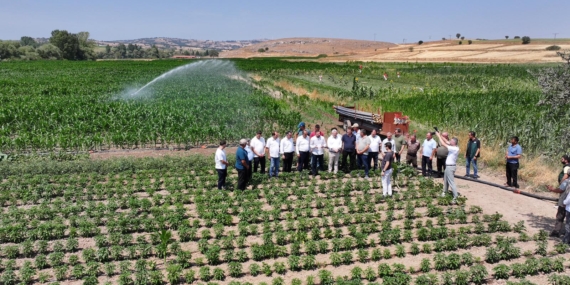 WhatsApp Image 2025-07-18 at 15.55.11