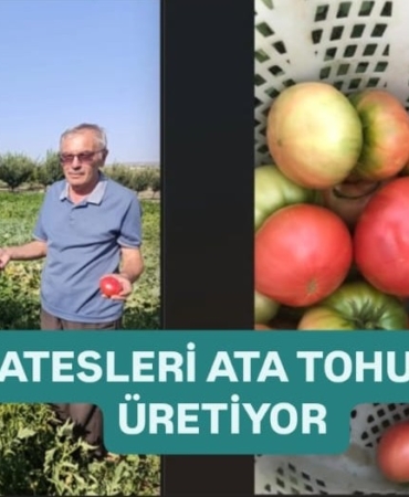 WhatsApp Image 2025-07-31 at 17.16.47