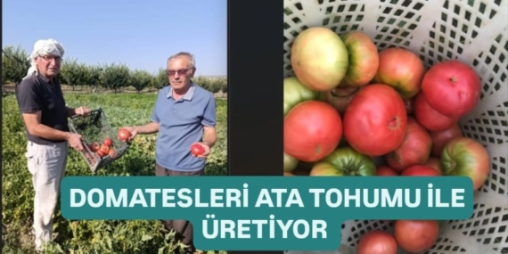 WhatsApp Image 2025-07-31 at 17.16.47