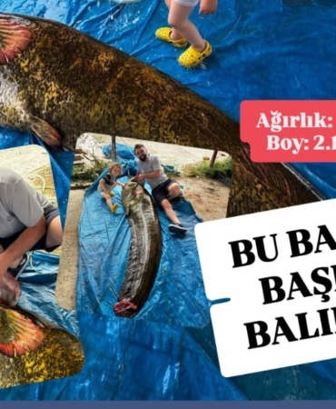 WhatsApp Image 2025-08-22 at 01.49.11