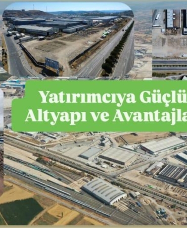 WhatsApp Image 2025-09-11 at 16.41.40