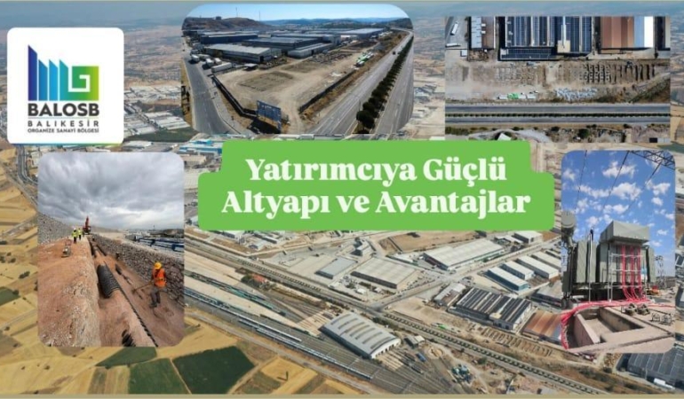 WhatsApp Image 2025-09-11 at 16.41.40