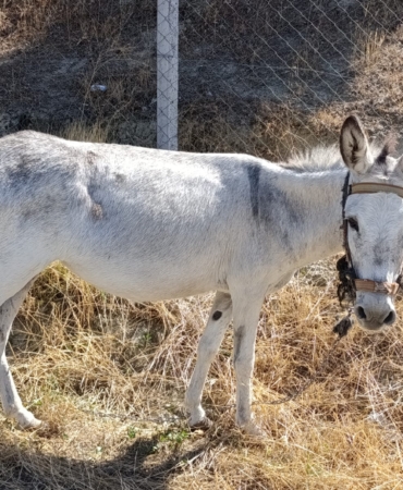 WhatsApp Image 2025-09-13 at 06.16.28