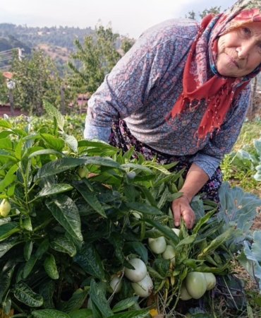 WhatsApp Image 2025-09-17 at 08.20.41