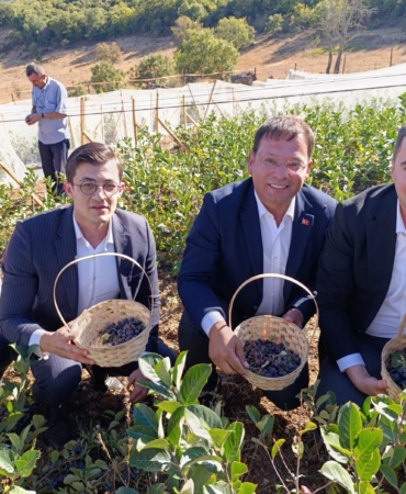 WhatsApp Image 2025-09-22 at 21.07.45