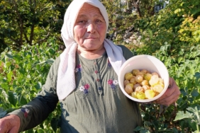 WhatsApp Image 2025-10-01 at 08.51.53