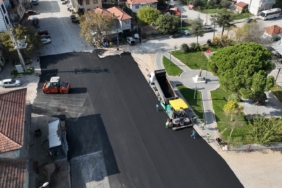 WhatsApp Image 2025-11-13 at 13.54.27