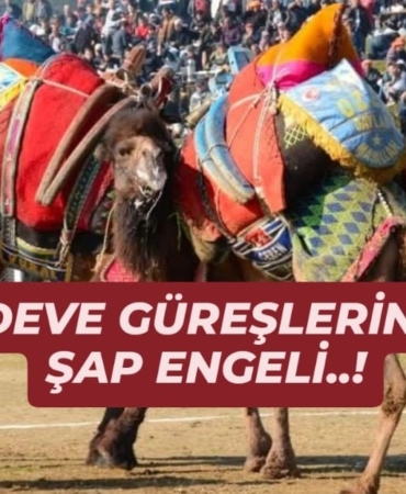 WhatsApp Image 2025-11-25 at 16.07.02