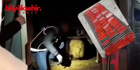 WhatsApp Image 2025-12-30 at 13.23.07