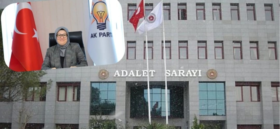 WhatsApp Image 2026-01-16 at 12.42.57