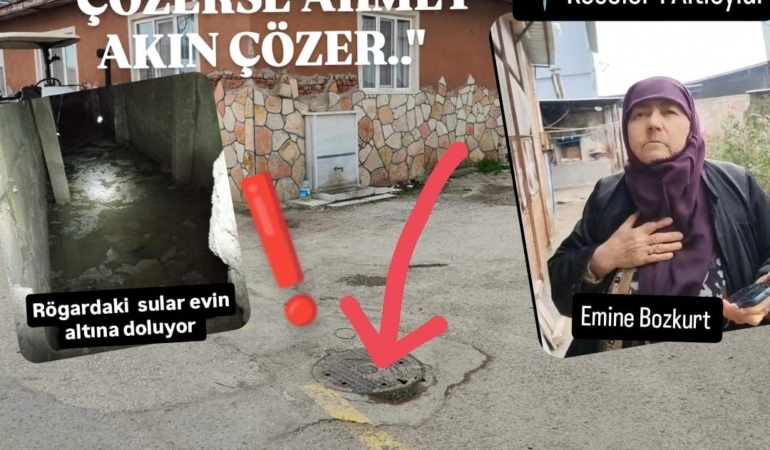 WhatsApp Image 2026-02-01 at 18.32.46