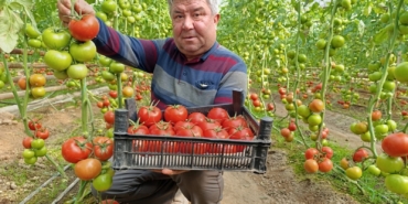 WhatsApp Image 2026-02-08 at 10.32.18