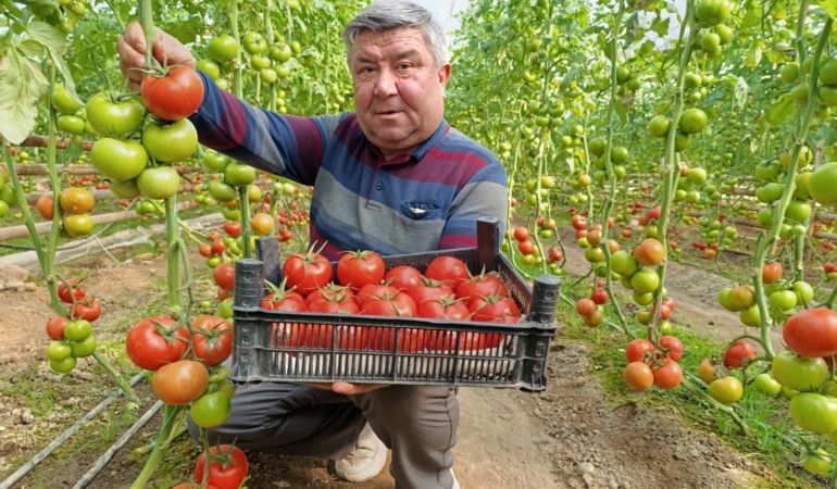 WhatsApp Image 2026-02-08 at 10.32.18