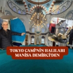 WhatsApp Image 2026-02-08 at 12.24.59