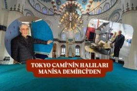 WhatsApp Image 2026-02-08 at 12.24.59