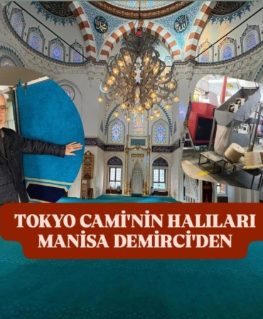 WhatsApp Image 2026-02-08 at 12.24.59