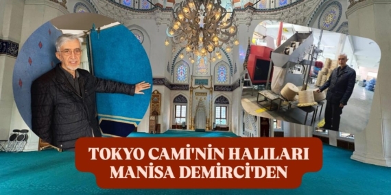 WhatsApp Image 2026-02-08 at 12.24.59