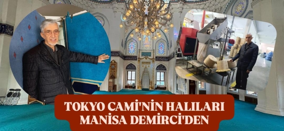 WhatsApp Image 2026-02-08 at 12.24.59