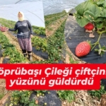 WhatsApp Image 2026-03-11 at 16.00.28