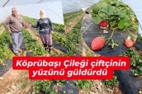 WhatsApp Image 2026-03-11 at 16.00.28