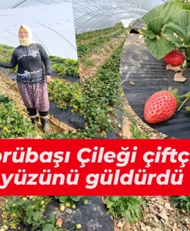 WhatsApp Image 2026-03-11 at 16.00.28