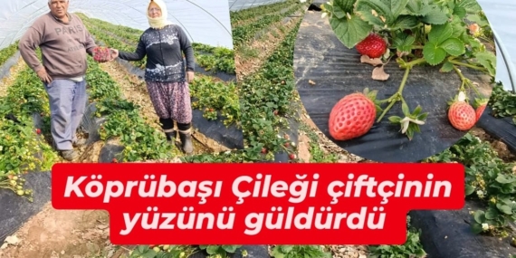 WhatsApp Image 2026-03-11 at 16.00.28