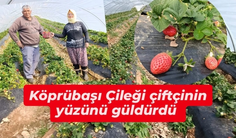 WhatsApp Image 2026-03-11 at 16.00.28