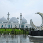 WhatsApp Image 2026-03-12 at 12.22.14