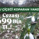 WhatsApp Image 2026-03-13 at 14.57.54