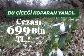 WhatsApp Image 2026-03-13 at 14.57.54