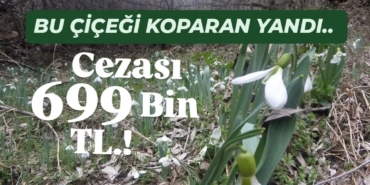 WhatsApp Image 2026-03-13 at 14.57.54