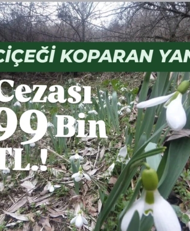 WhatsApp Image 2026-03-13 at 14.57.54