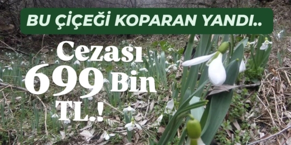 WhatsApp Image 2026-03-13 at 14.57.54