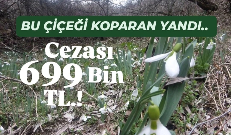 WhatsApp Image 2026-03-13 at 14.57.54