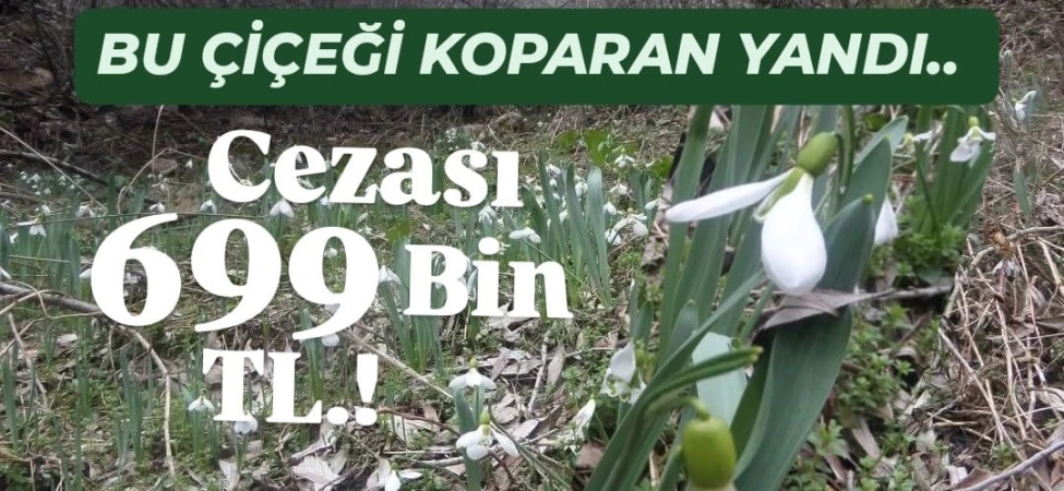 WhatsApp Image 2026-03-13 at 14.57.54