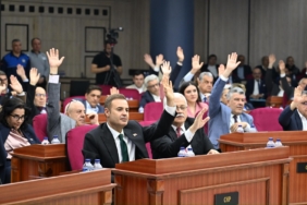 WhatsApp Image 2026-04-14 at 20.48.40 (1)