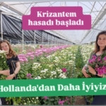 WhatsApp Image 2026-04-28 at 15.26.52