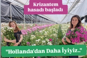 WhatsApp Image 2026-04-28 at 15.26.52