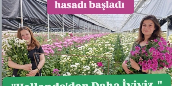 WhatsApp Image 2026-04-28 at 15.26.52