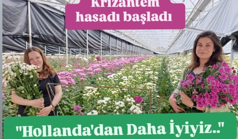 WhatsApp Image 2026-04-28 at 15.26.52